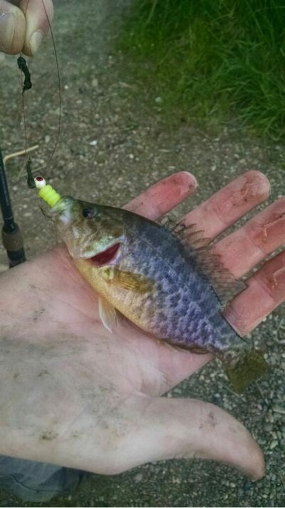 Small mouth.jpg