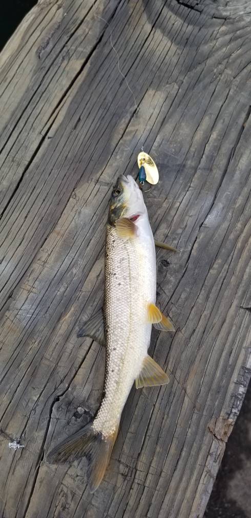 20190608_110138.jpg