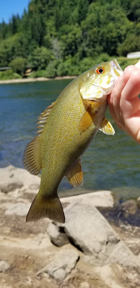 20190622_133204.jpg