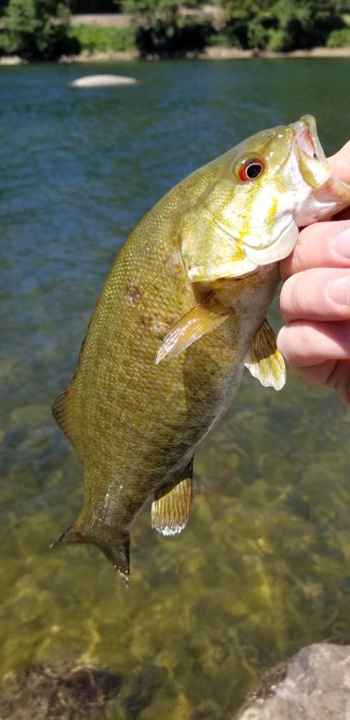 20190622_141724.jpg