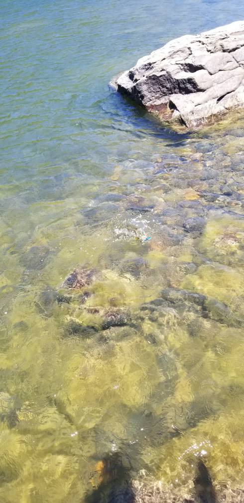 20190622_141947.jpg