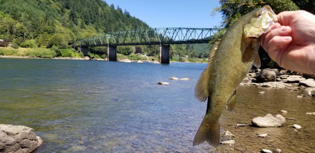 20190622_142643.jpg
