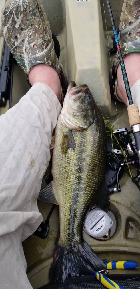 Alton Baker Canal Fishing Repor