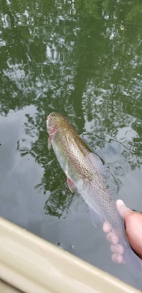 20190706_112028.jpg