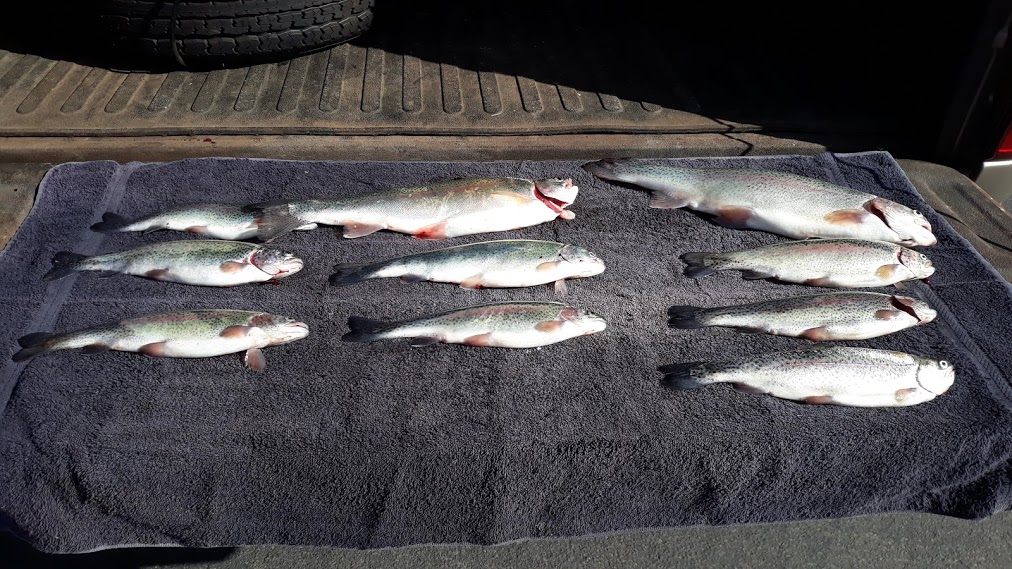 20200301HaggLaketrout.jpg