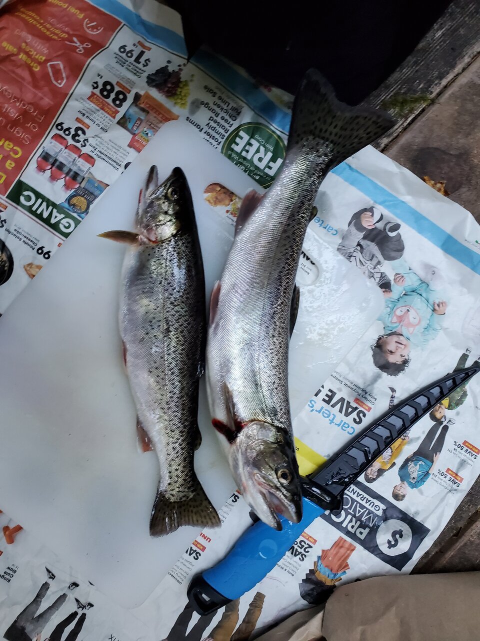 20200907_100736.jpg