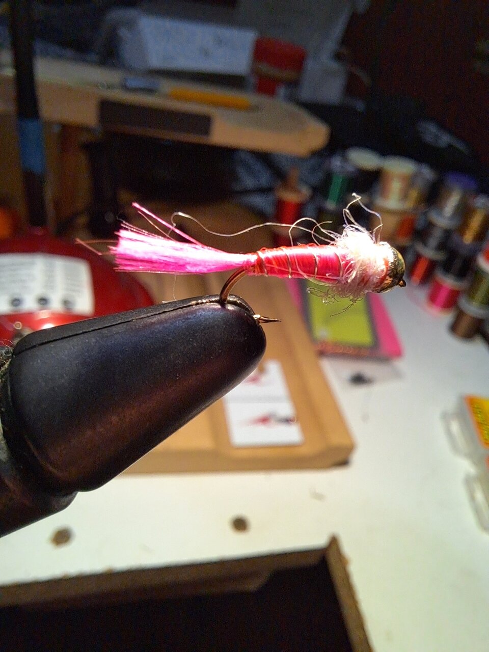 20200930_231120.jpg