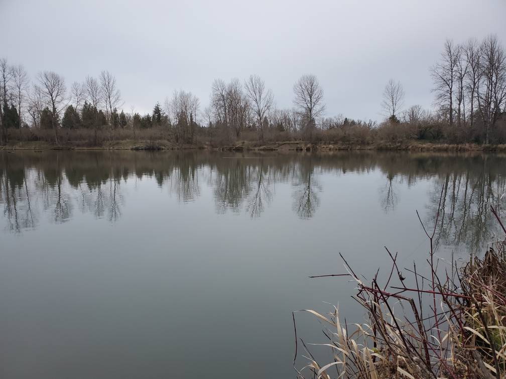 Alton Baker Canal Fishing Reports 2021