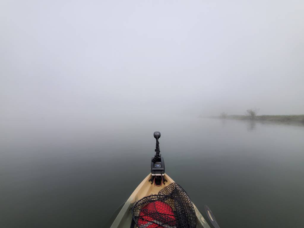 20220423_071323.jpg