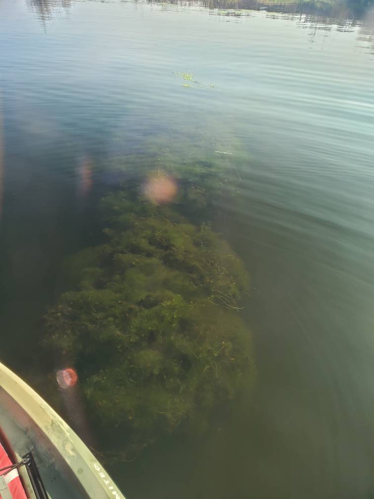 20221015_105952.jpg