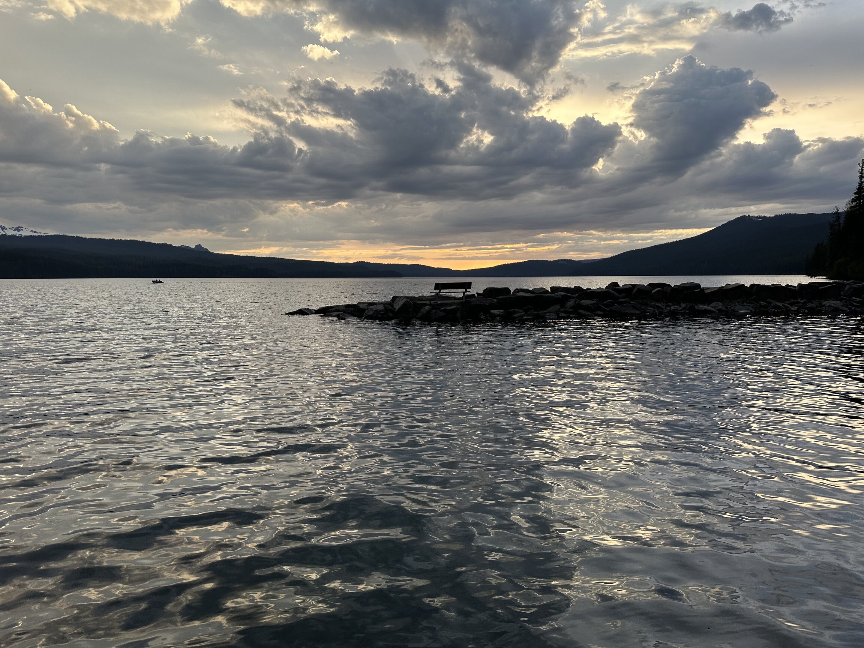 7CF687D3-52FD-42AF-864A-CAFD5FA24ADE.jpeg