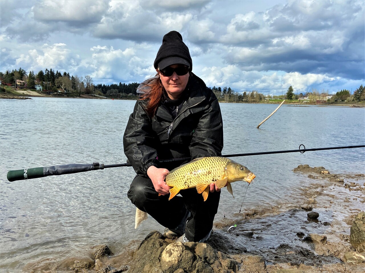 carp1.jpg