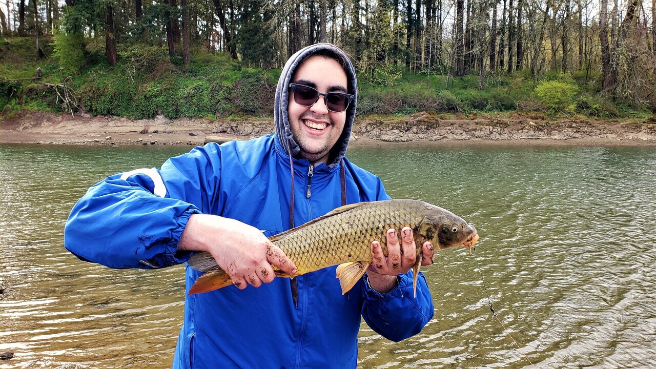 carp2.jpg