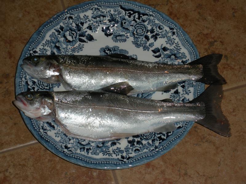DSCN1074.jpg