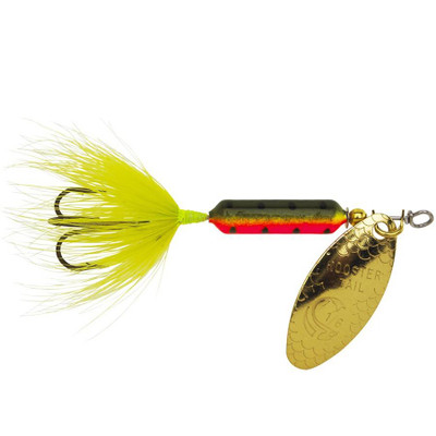 Fire tiger rooster tail.jpg