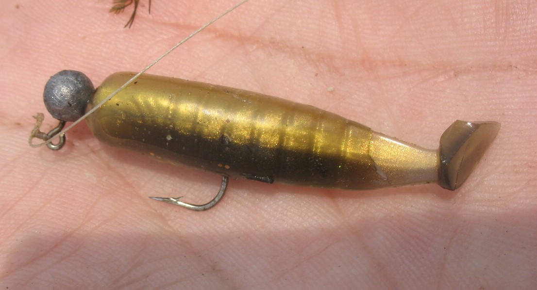 gold prl lam DD bevel paddle.JPG