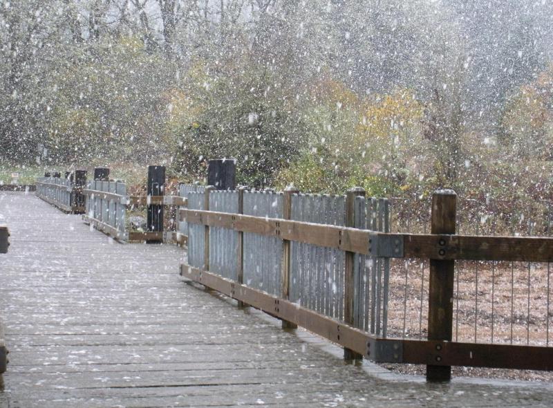 Hagg Lake Snow 11.21.2010.jpg
