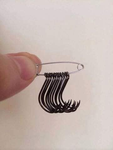 Hooks on a safety pin.jpg