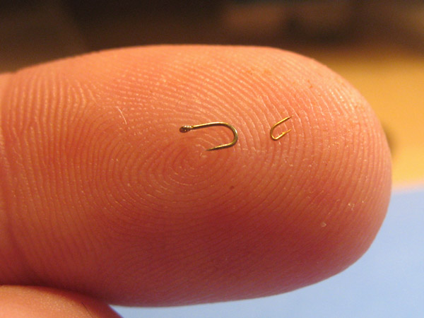 Look at the size of this hook (tiny)