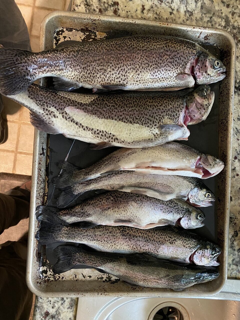 Silverton Reservoir Fishing Reports
