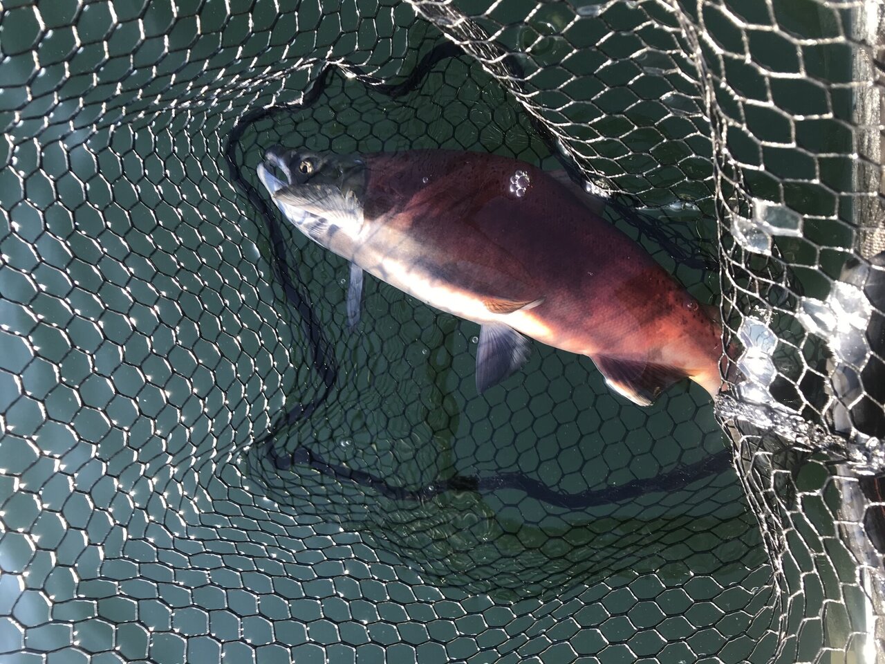 Wickiup Reservoir Fishing Reports