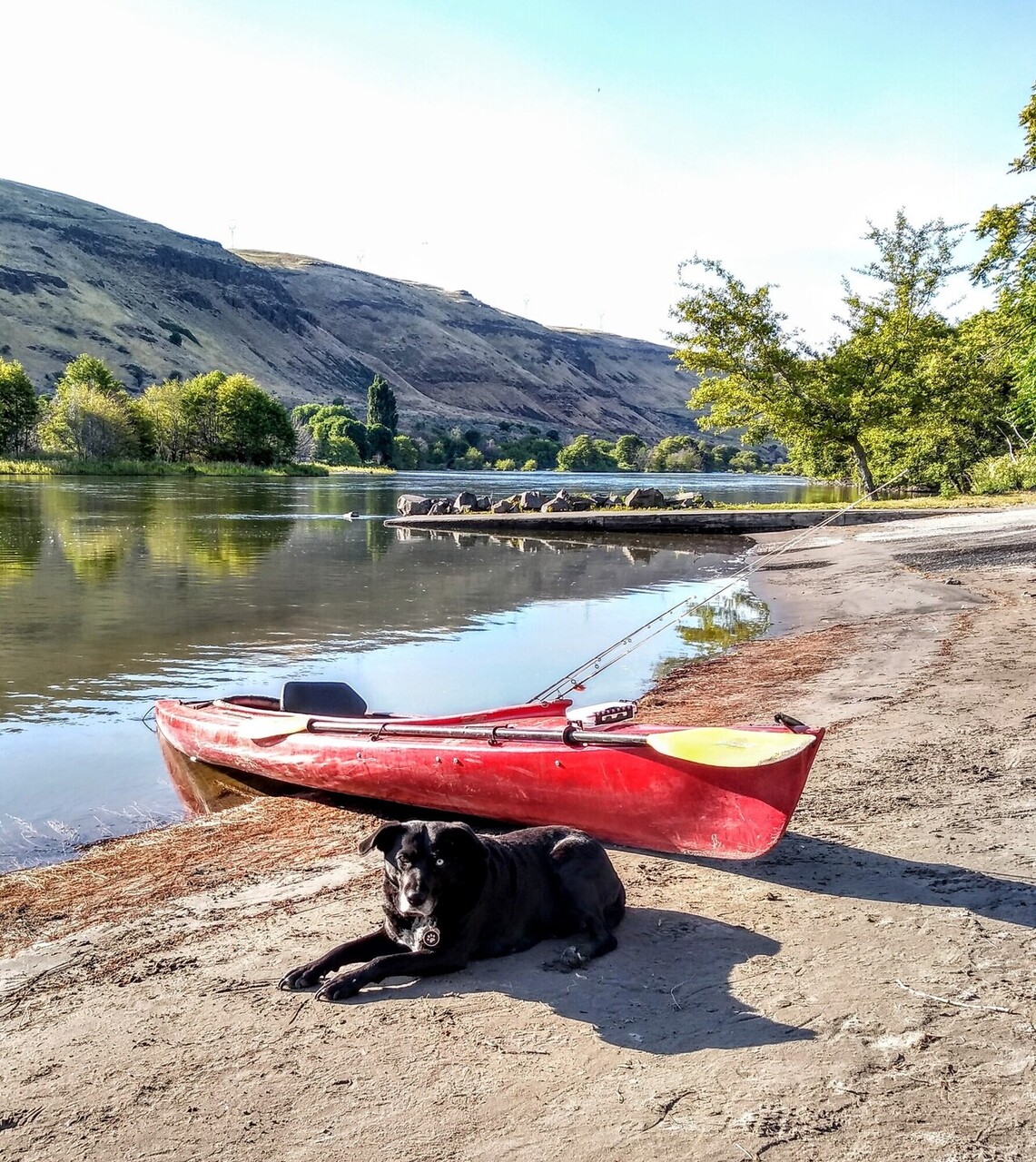 IMG_20190609_072337900_HDR.jpg
