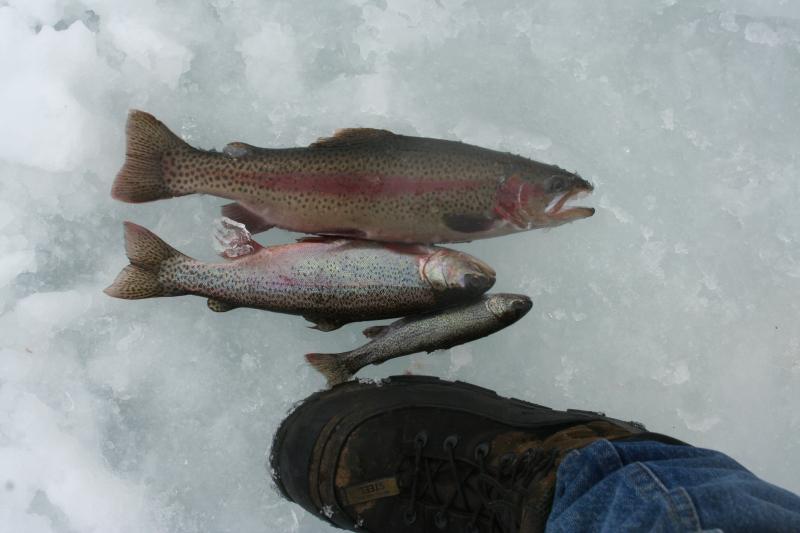 Trillium Lake ice fishing