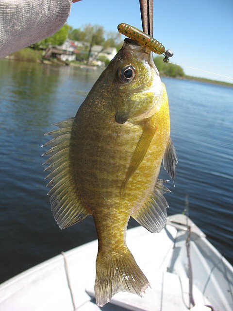 IMG_4912.JPG