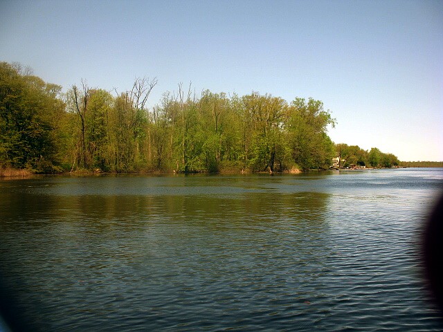 IMG_4920.JPG