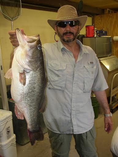 My Bass.jpg