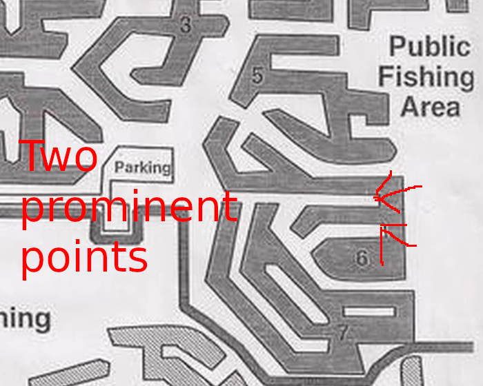 pond6.png
