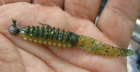 ring body mo.JPG