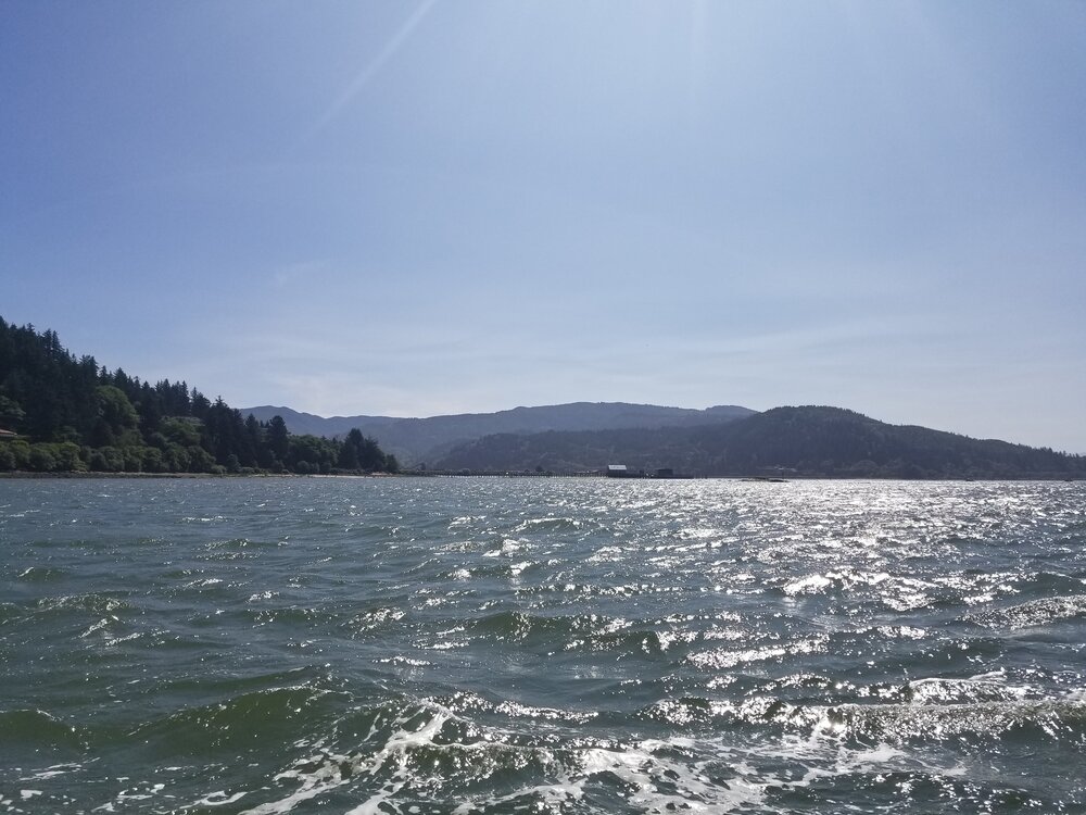 Tillamook Bay looking east.jpg