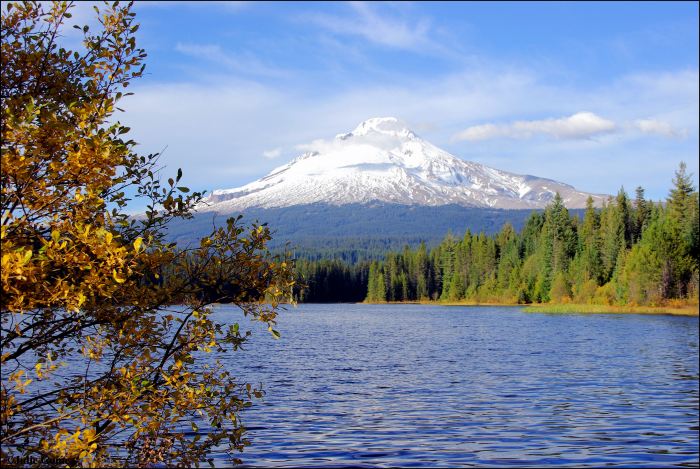 Trillium Lake fishing