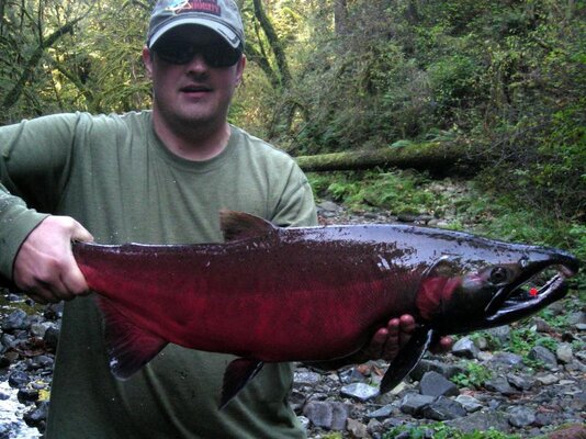 10-18-2010 Coho 039.jpg