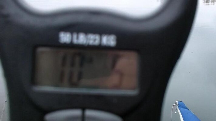 11-14-2010_005.jpg