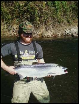 2010 Salmon10.jpg