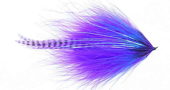 skagit-minnow.jpg
