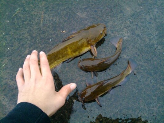 IMG_20101212_123944.jpg