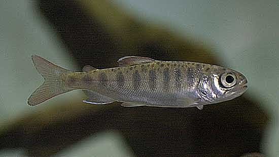 flybox2.jpg