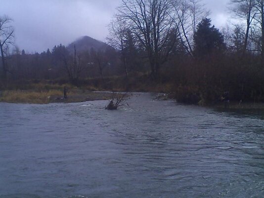 PICT0204.jpg