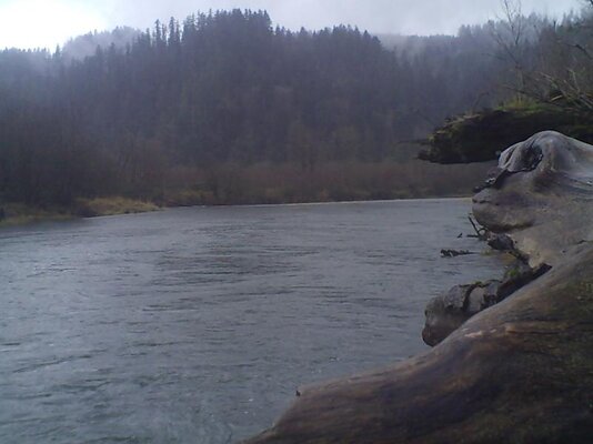 PICT0205.jpg