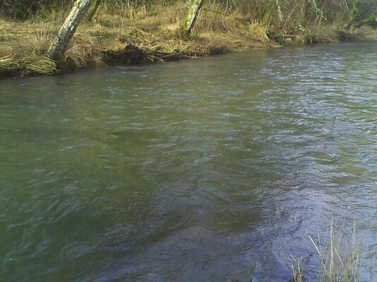 PICT0197.jpg