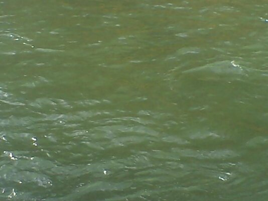 PICT0200.jpg