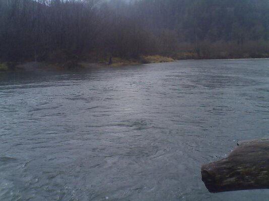 PICT0202.jpg
