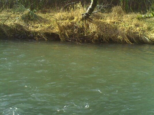PICT0201.jpg