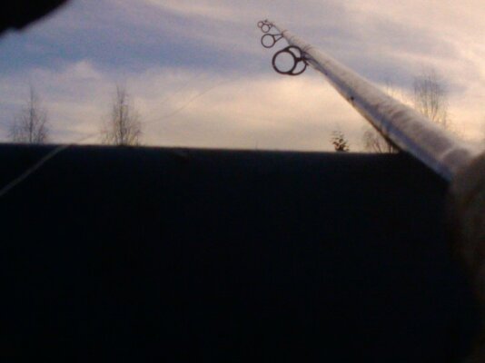 IMG_20110117_153932.jpg