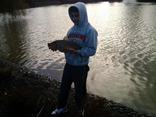 IMG_20110117_120708.jpg