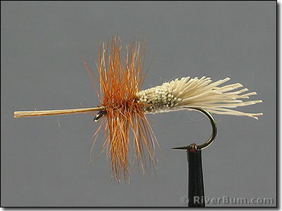 Goddard-Caddis-side.jpg