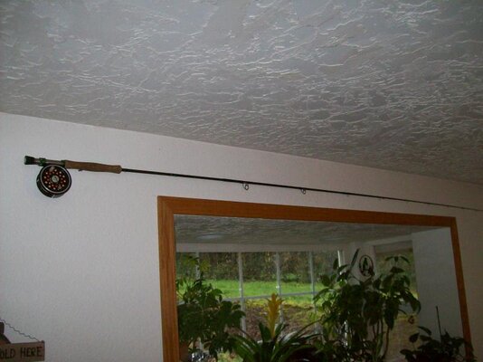 Fly rod.jpg